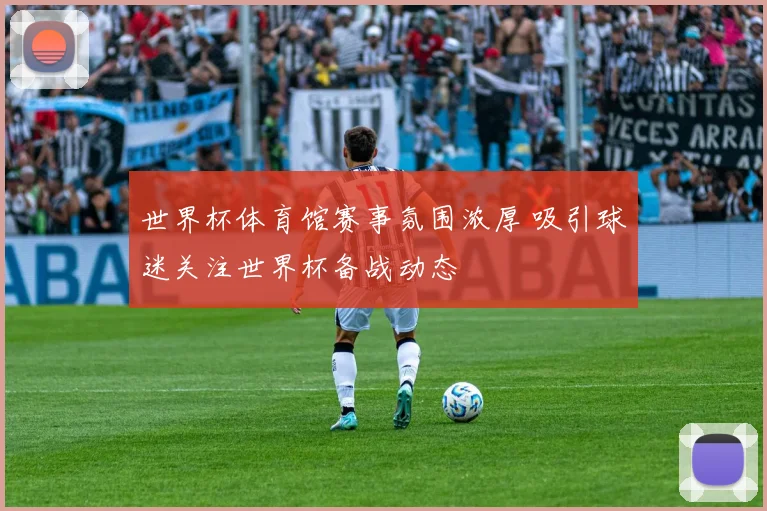 世界杯体育馆赛事氛围浓厚 吸引球迷关注世界杯备战动态