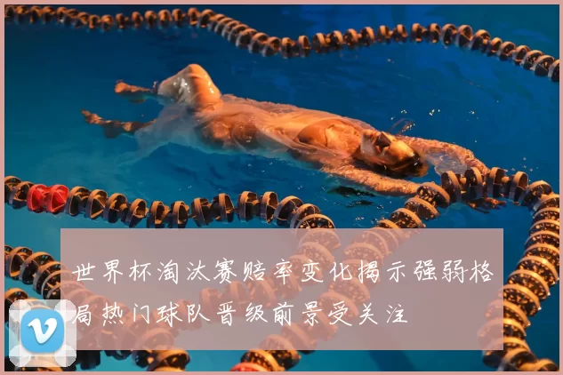 世界杯淘汰赛赔率变化揭示强弱格局热门球队晋级前景受关注