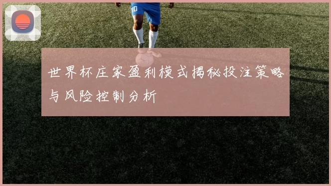 世界杯庄家盈利模式揭秘投注策略与风险控制分析